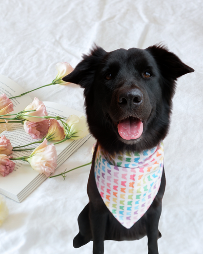 Pixie Woofs Multi-Colour Butterfly/Flower Double Sided Pet Scarf Bandana for Pet/Paw-Babies