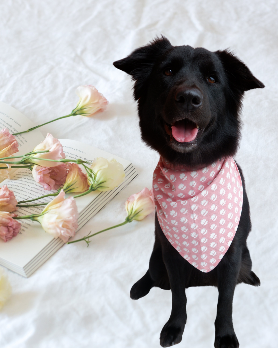 Multi-Colour Butterfly/Flower Double Sided Pet Scarf Bandana