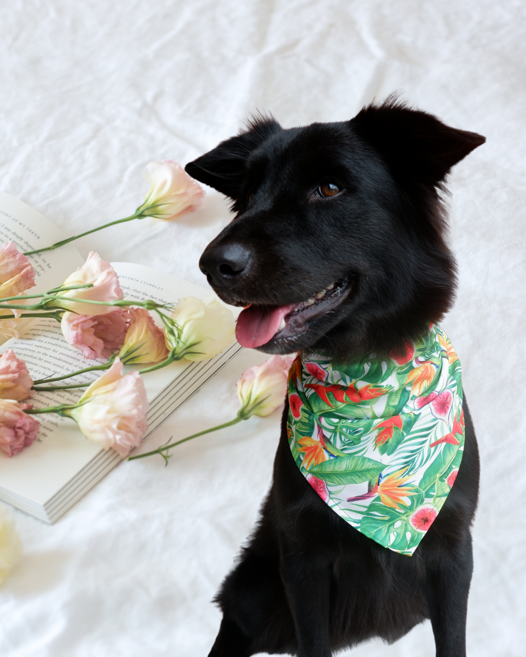 Tropical Vibe Scarf Bandana