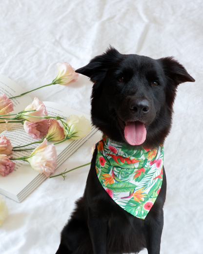Pixie Woofs Tropical Vibe Scarf Bandana for Pets/Paw-Babies